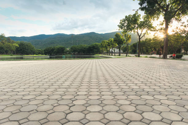 Best Driveway Pavers Cost  in La Porte, TX